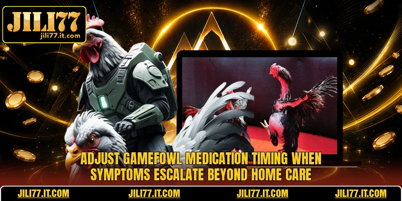 Adjust gamefowl medication timing when symptoms escalate beyond home care