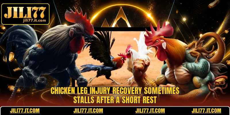 Chicken leg injury recovery sometimes stalls after a short rest 
