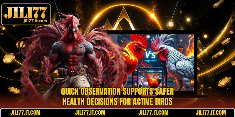 Quick observation supports safer health decisions for active birds